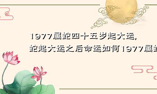 1977属蛇四十五岁起大运,蛇起大运之后命运如何1977属蛇四十五岁起大运,蛇起大运之后命运如何样