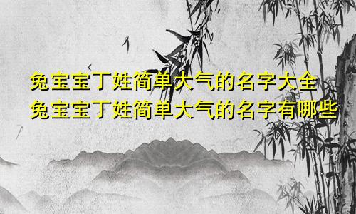 兔宝宝丁姓简单大气的名字大全兔宝宝丁姓简单大气的名字有哪些