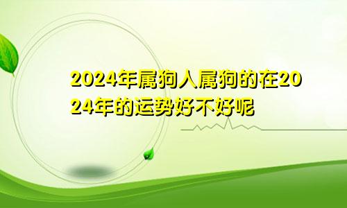 2024年属狗人属狗的在2024年的运势好不好呢