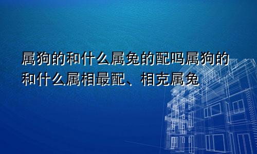 属狗的和什么属兔的配吗属狗的和什么属相最配、相克属兔