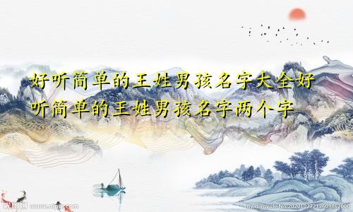 好听简单的王姓男孩名字大全好听简单的王姓男孩名字两个字