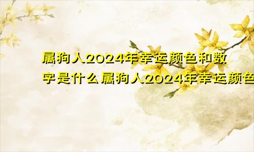 属狗人2024年幸运颜色和数字是什么属狗人2024年幸运颜色和数字是多少?