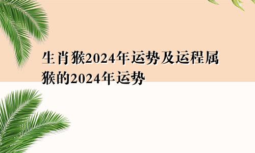 生肖猴2024年运势及运程属猴的2024年运势