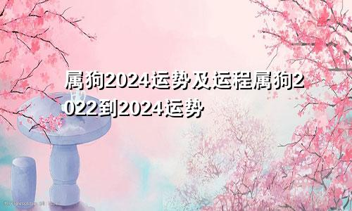 属狗2024运势及运程属狗2022到2024运势