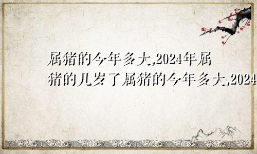 属猪的今年多大,2024年属猪的几岁了属猪的今年多大,2024年属猪的几岁啦