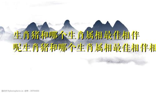 生肖猪和哪个生肖属相最佳相伴呢生肖猪和哪个生肖属相最佳相伴相配