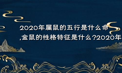 2020年属鼠的五行是什么命,金鼠的性格特征是什么?2020年属鼠的五行是什么命,金鼠的性格特征