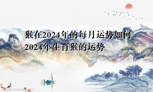 猴在2024年的每月运势如何2024年生肖猴的运势