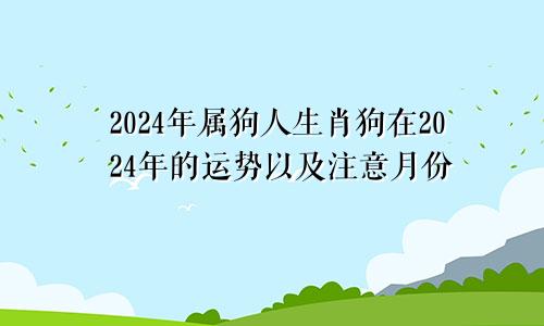 2024年属狗人生肖狗在2024年的运势以及注意月份