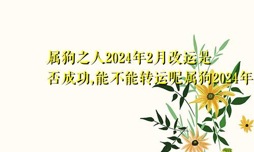 属狗之人2024年2月改运是否成功,能不能转运呢属狗2024年属狗每月运势和运