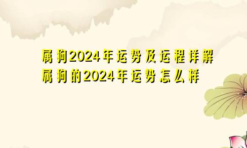 属狗2024年运势及运程详解属狗的2024年运势怎么样