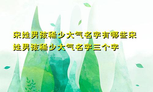 宋姓男孩稀少大气名字有哪些宋姓男孩稀少大气名字三个字