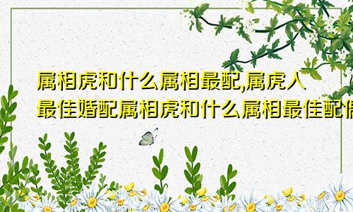 属相虎和什么属相最配,属虎人最佳婚配属相虎和什么属相最佳配偶