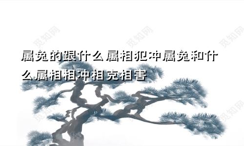 属兔的跟什么属相犯冲属兔和什么属相相冲相克相害