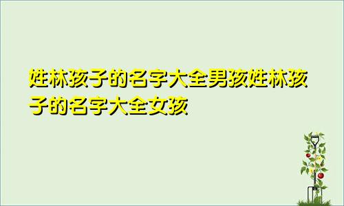 姓林孩子的名字大全男孩姓林孩子的名字大全女孩