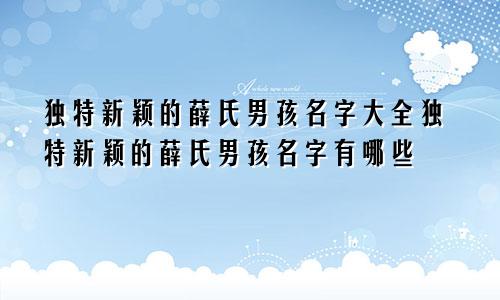 独特新颖的薛氏男孩名字大全独特新颖的薛氏男孩名字有哪些