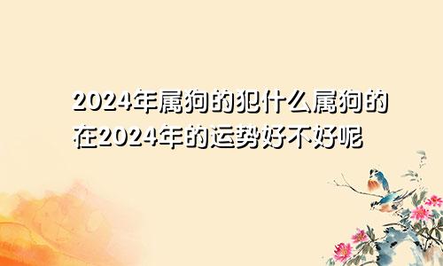 2024年属狗的犯什么属狗的在2024年的运势好不好呢