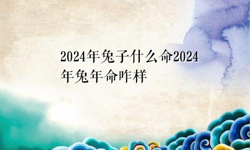 2024年兔子什么命2024年兔年命咋样