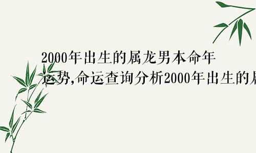 2000年出生的属龙男本命年运势,命运查询分析2000年出生的属龙男本命年运势,命运查询分析图