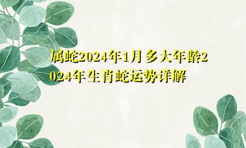 属蛇2024年1月多大年龄2024年生肖蛇运势详解