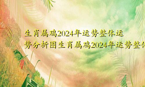 生肖属鸡2024年运势整体运势分析图生肖属鸡2024年运势整体运势分析