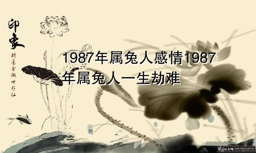 1987年属兔人感情1987年属兔人一生劫难