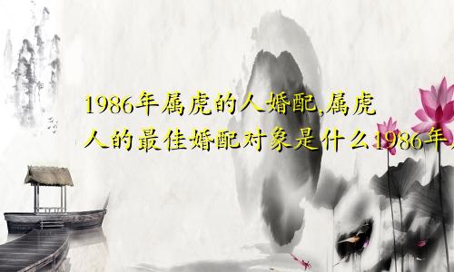 1986年属虎的人婚配,属虎人的最佳婚配对象是什么1986年属虎的人婚配,属虎人的最佳婚配对象是谁