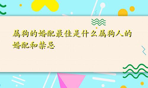 属狗的婚配最佳是什么属狗人的婚配和禁忌