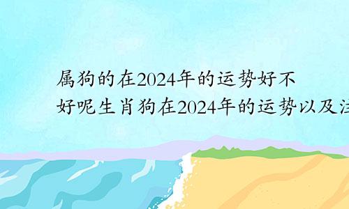 属狗的在2024年的运势好不好呢生肖狗在2024年的运势以及注意月份