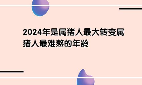 2024年是属猪人最大转变属猪人最难熬的年龄