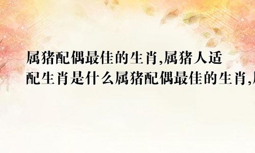 属猪配偶最佳的生肖,属猪人适配生肖是什么属猪配偶最佳的生肖,属猪人适配生肖吗