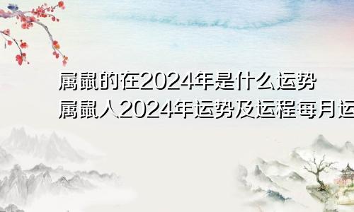 属鼠的在2024年是什么运势属鼠人2024年运势及运程每月运程