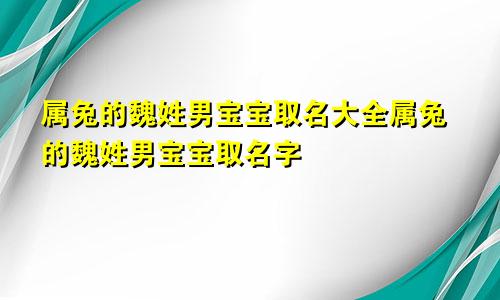 属兔的魏姓男宝宝取名大全属兔的魏姓男宝宝取名字