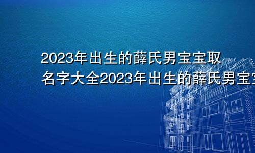 2023年出生的薛氏男宝宝取名字大全2023年出生的薛氏男宝宝取名字怎么取