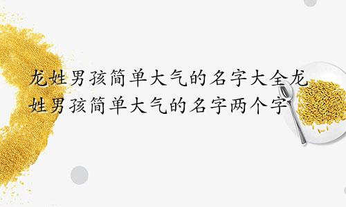 龙姓男孩简单大气的名字大全龙姓男孩简单大气的名字两个字