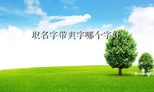 取名字带爽字哪个字好