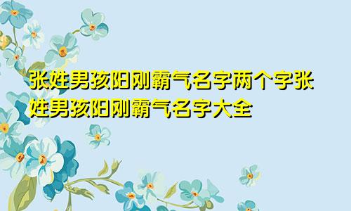 张姓男孩阳刚霸气名字两个字张姓男孩阳刚霸气名字大全