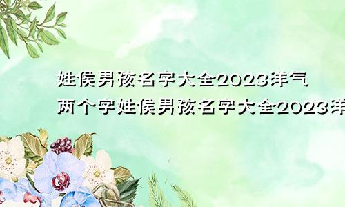 姓侯男孩名字大全2023洋气两个字姓侯男孩名字大全2023洋气