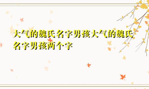 大气的魏氏名字男孩大气的魏氏名字男孩两个字