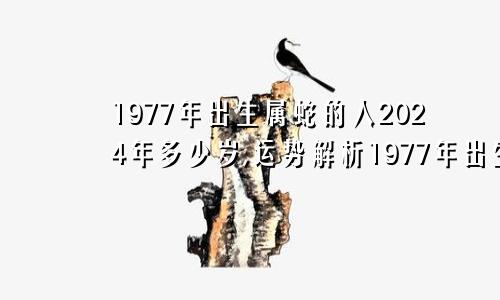 1977年出生属蛇的人2024年多少岁,运势解析1977年出生属蛇的人2024年多少岁,运势解析男