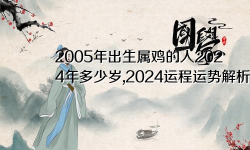 2005年出生属鸡的人2024年多少岁,2024运程运势解析