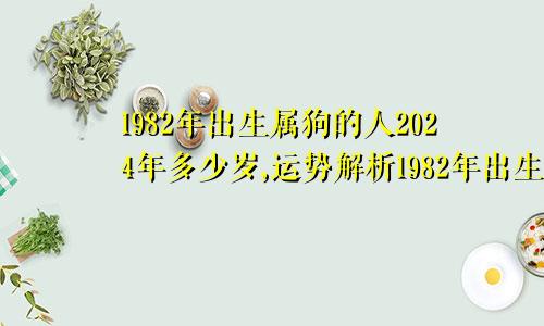 1982年出生属狗的人2024年多少岁,运势解析1982年出生属狗的人2024年多少岁,运势解析男