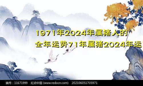 1971年2024年属猪人的全年运势71年属猪2024年运势如何