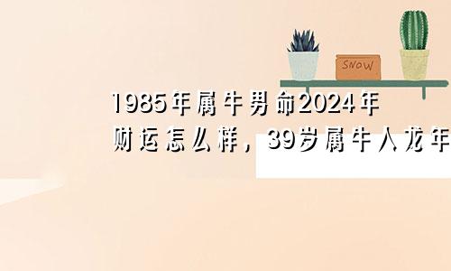 1985年属牛男命2024年财运怎么样，39岁属牛人龙年事业运