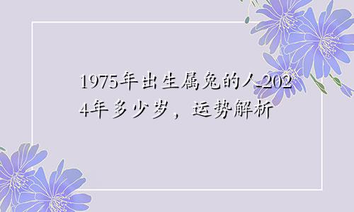 1975年出生属兔的人2024年多少岁，运势解析