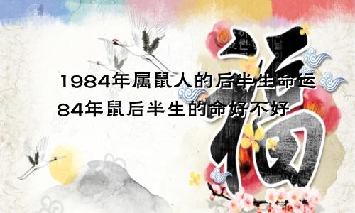 1984年属鼠人的后半生命运84年鼠后半生的命好不好