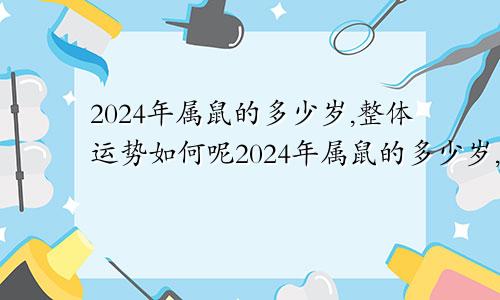 2024年属鼠的多少岁,整体运势如何呢2024年属鼠的多少岁,整体运势如何样