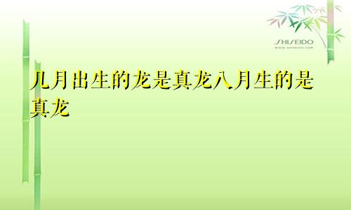 几月出生的龙是真龙八月生的是真龙