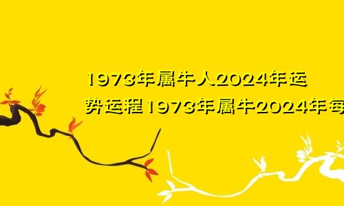 1973年属牛人2024年运势运程1973年属牛2024年每月运势