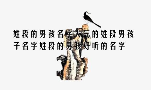 姓段的男孩名字大气的姓段男孩子名字姓段的男孩好听的名字